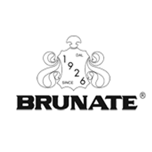 vanluechene_brunate_schoenen