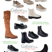 folder-winter-2022-site-14